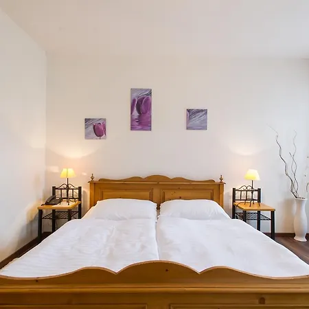 Sumava Hotell 3*